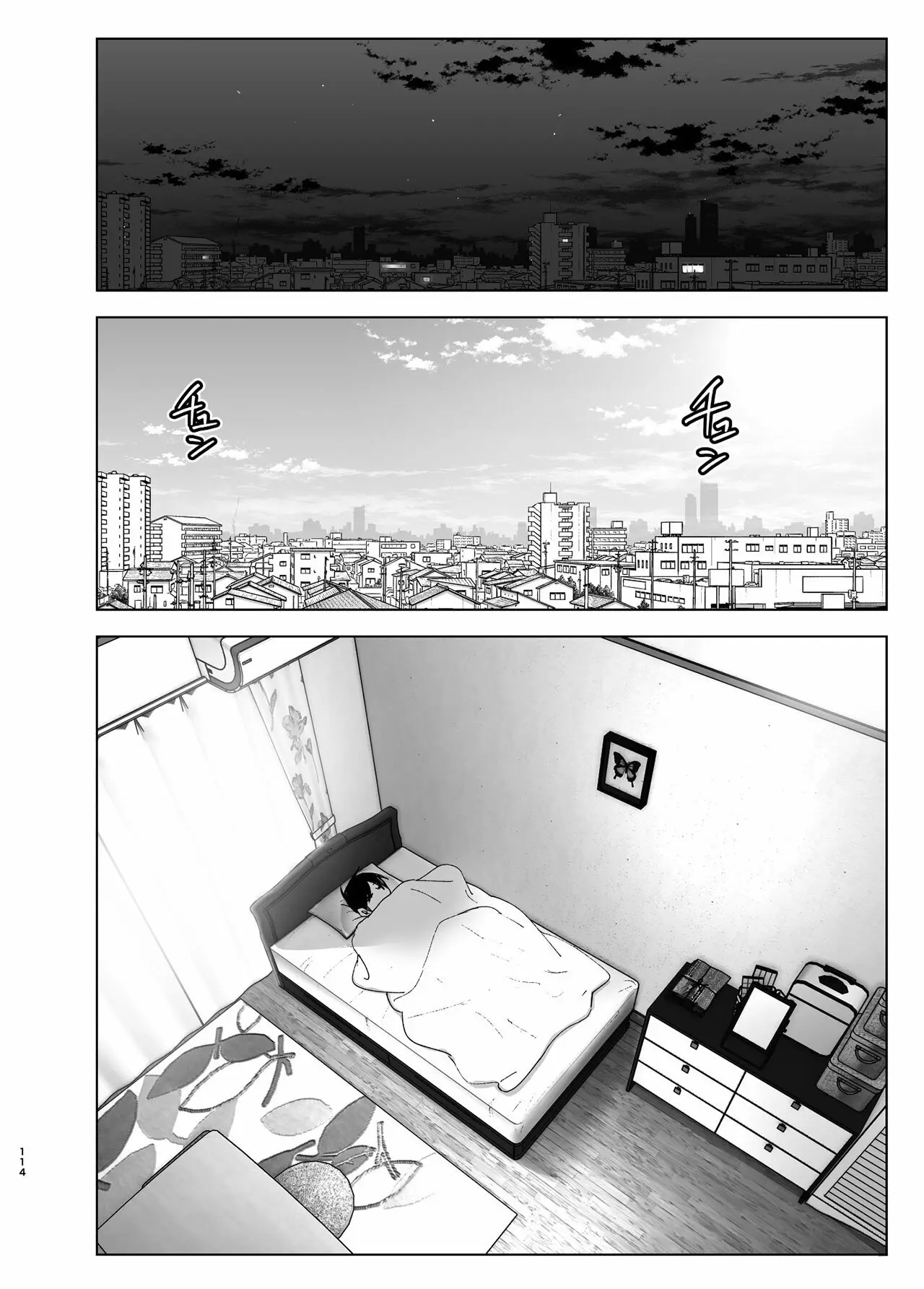 Página 114