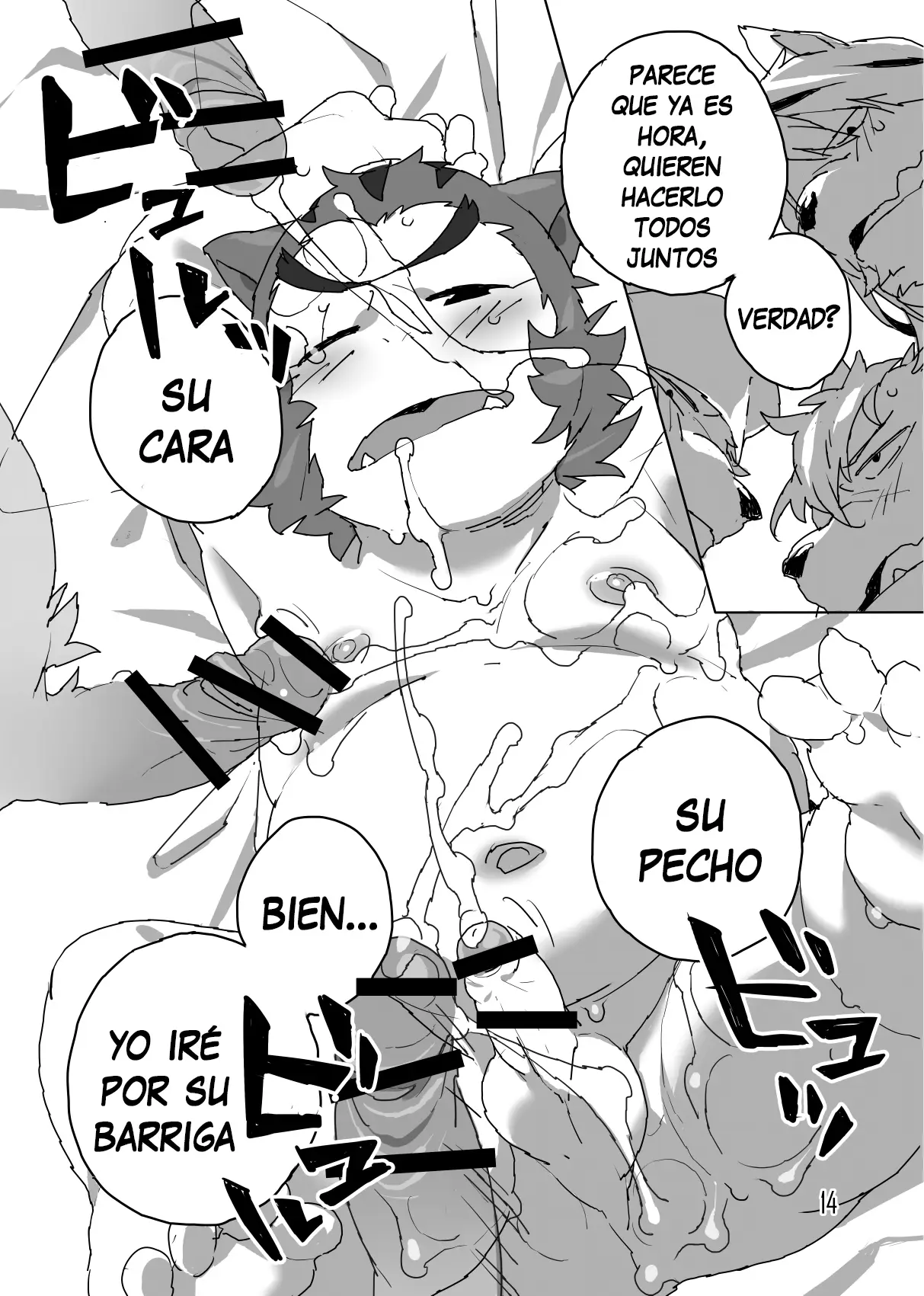 Página 14