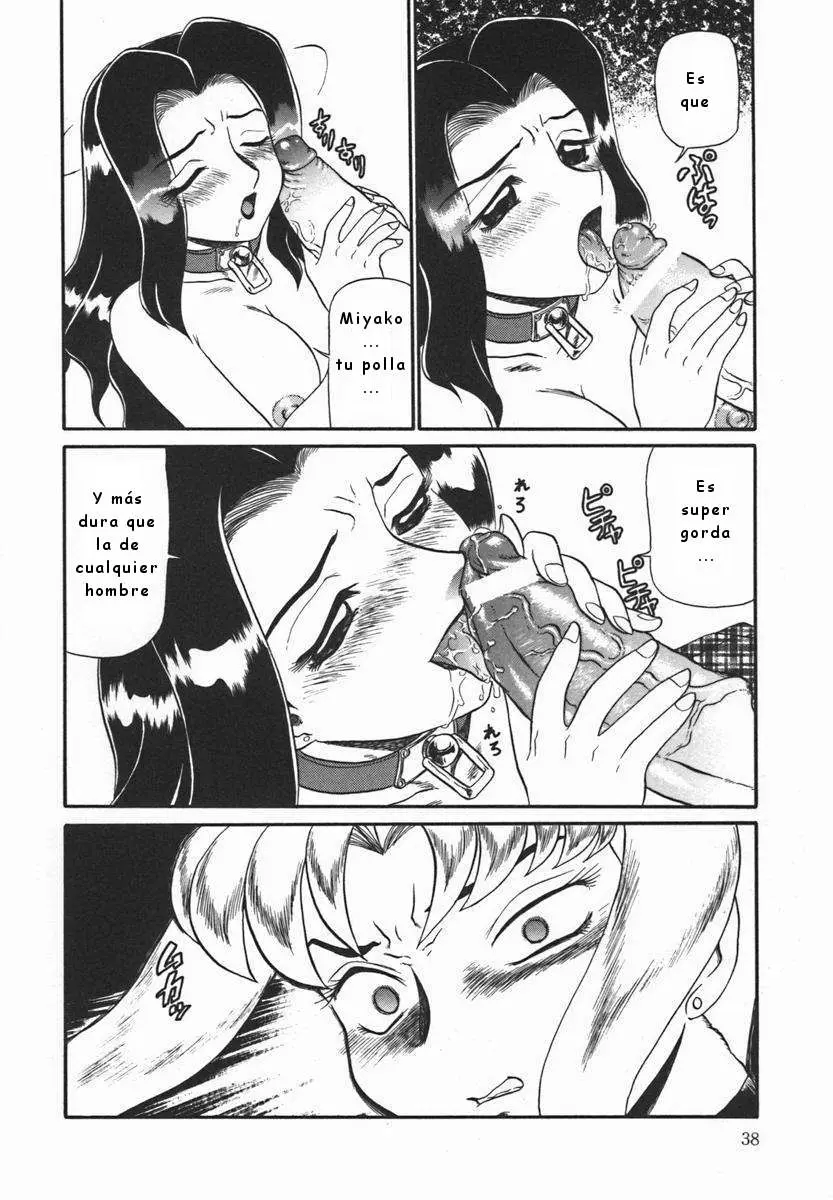 Página 40