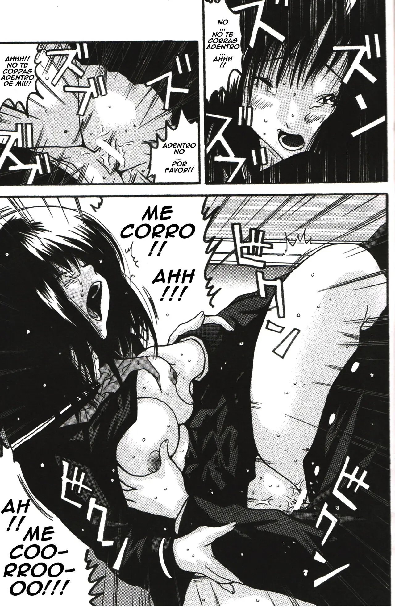 Página 17