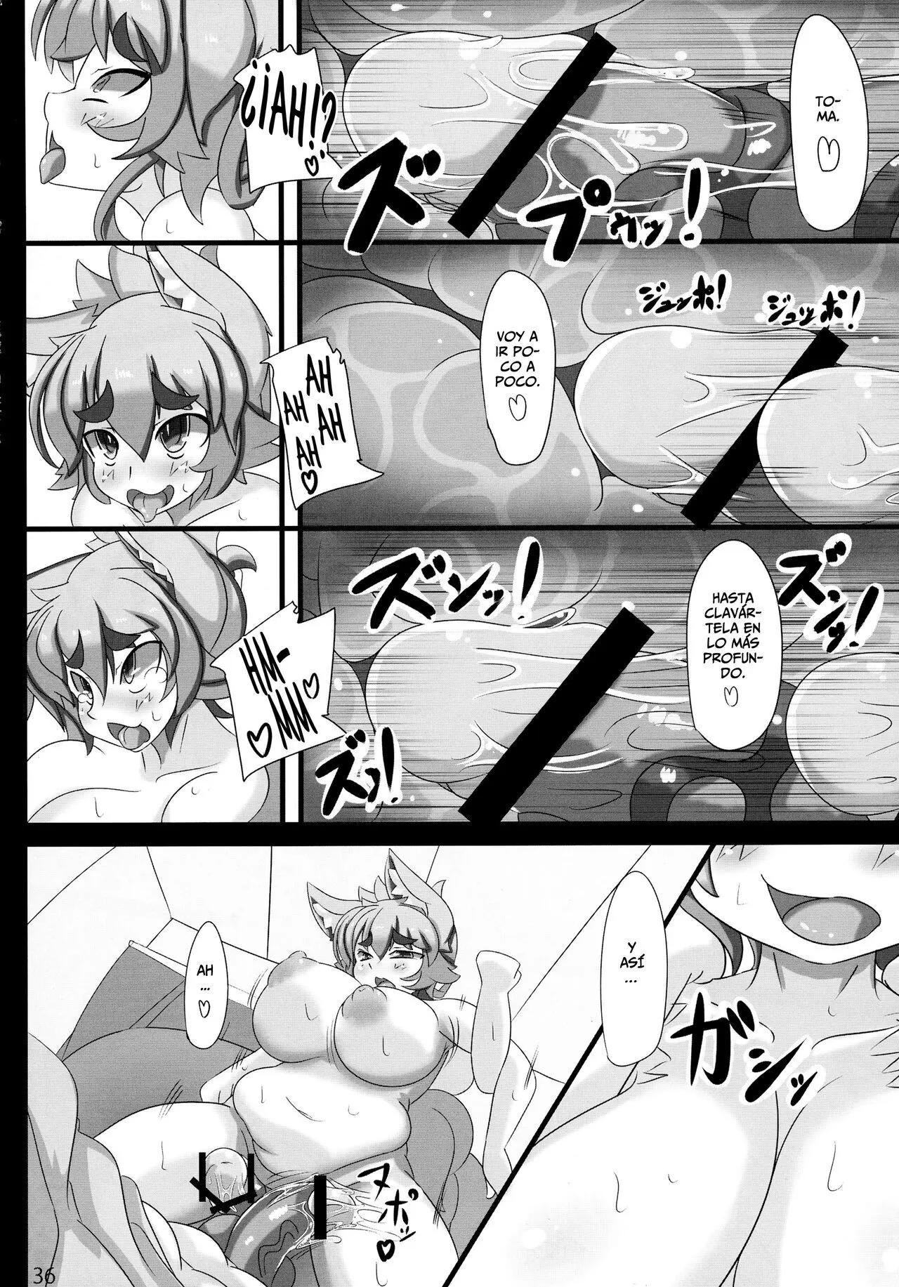 Página 36