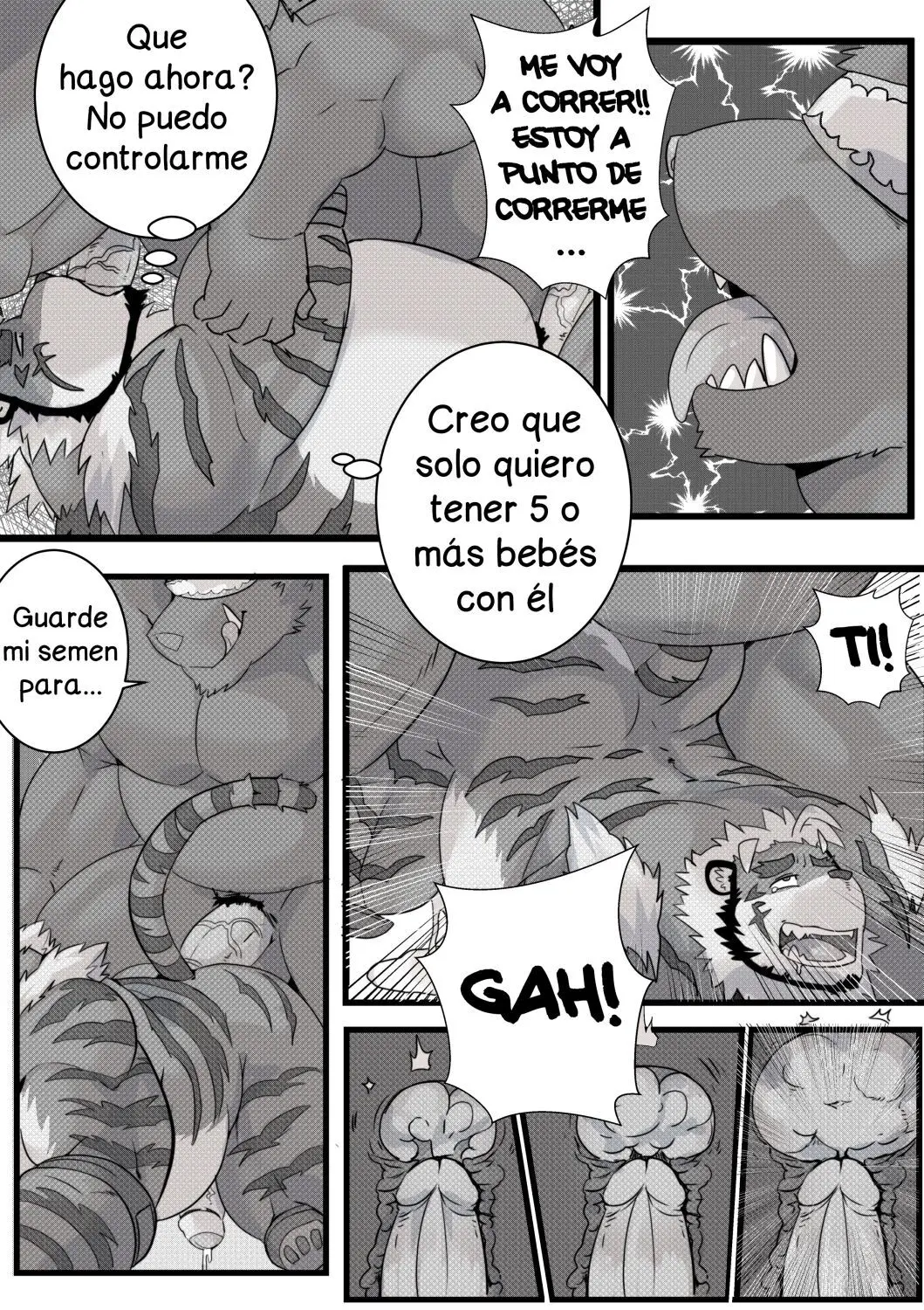 Página 17