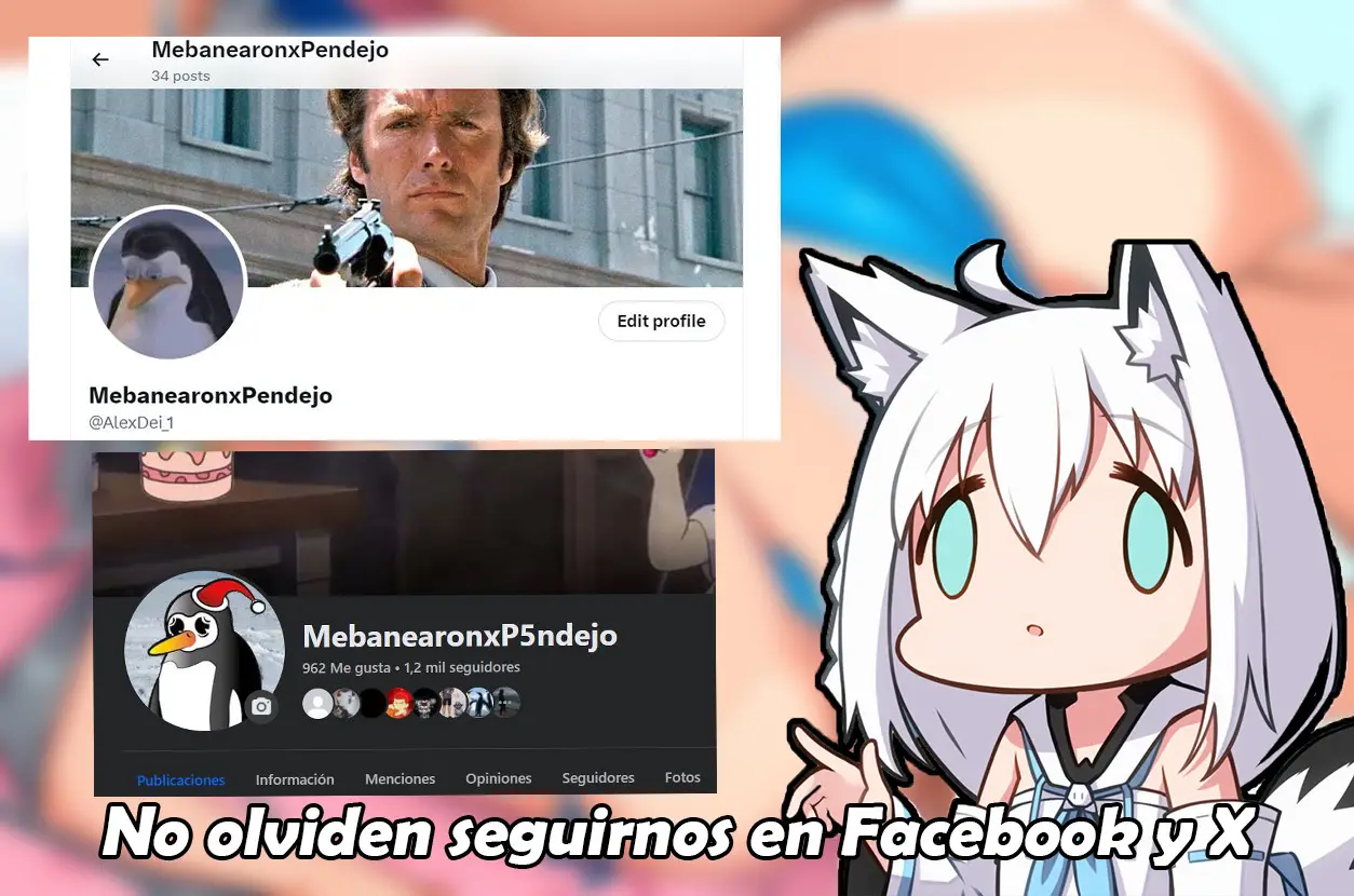 Página 24