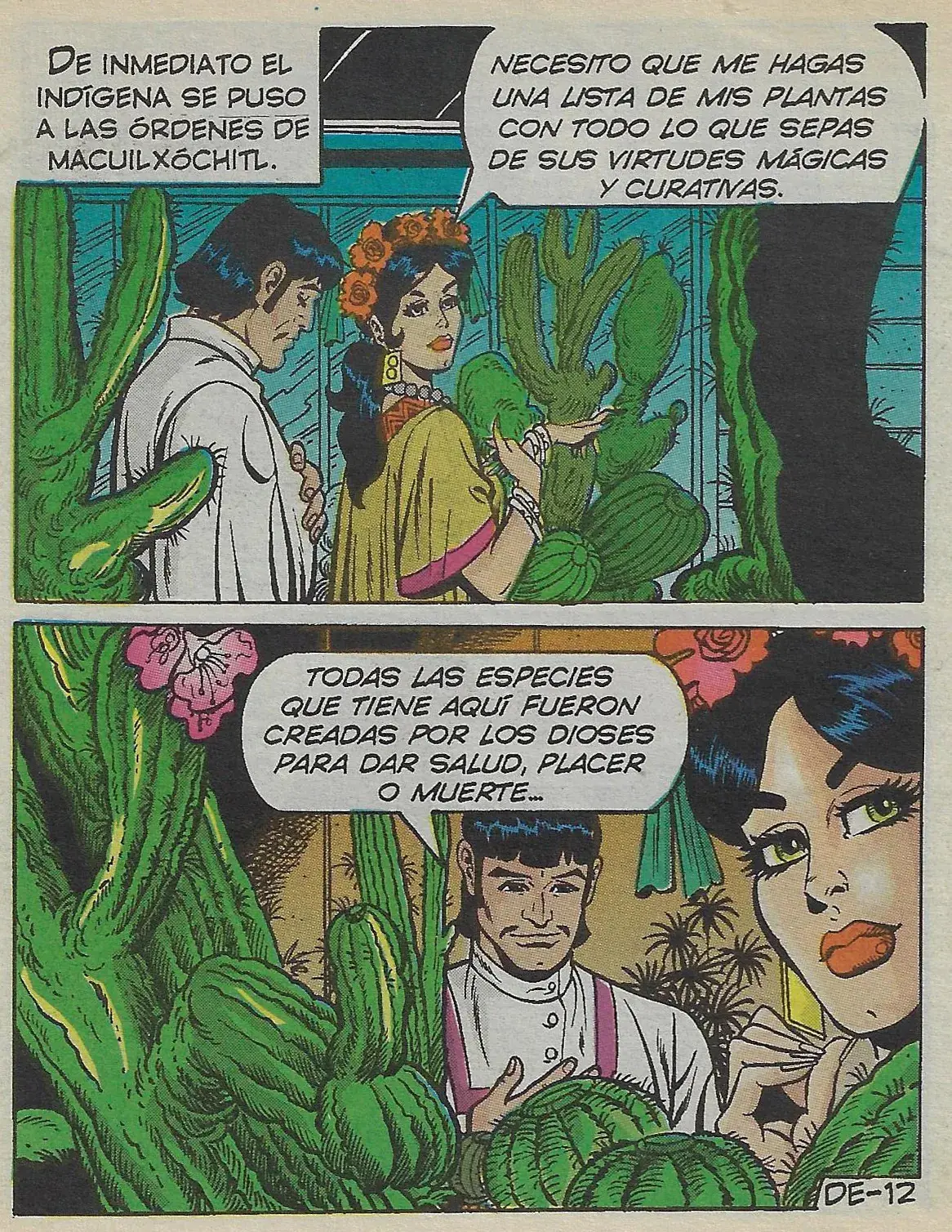Página 13