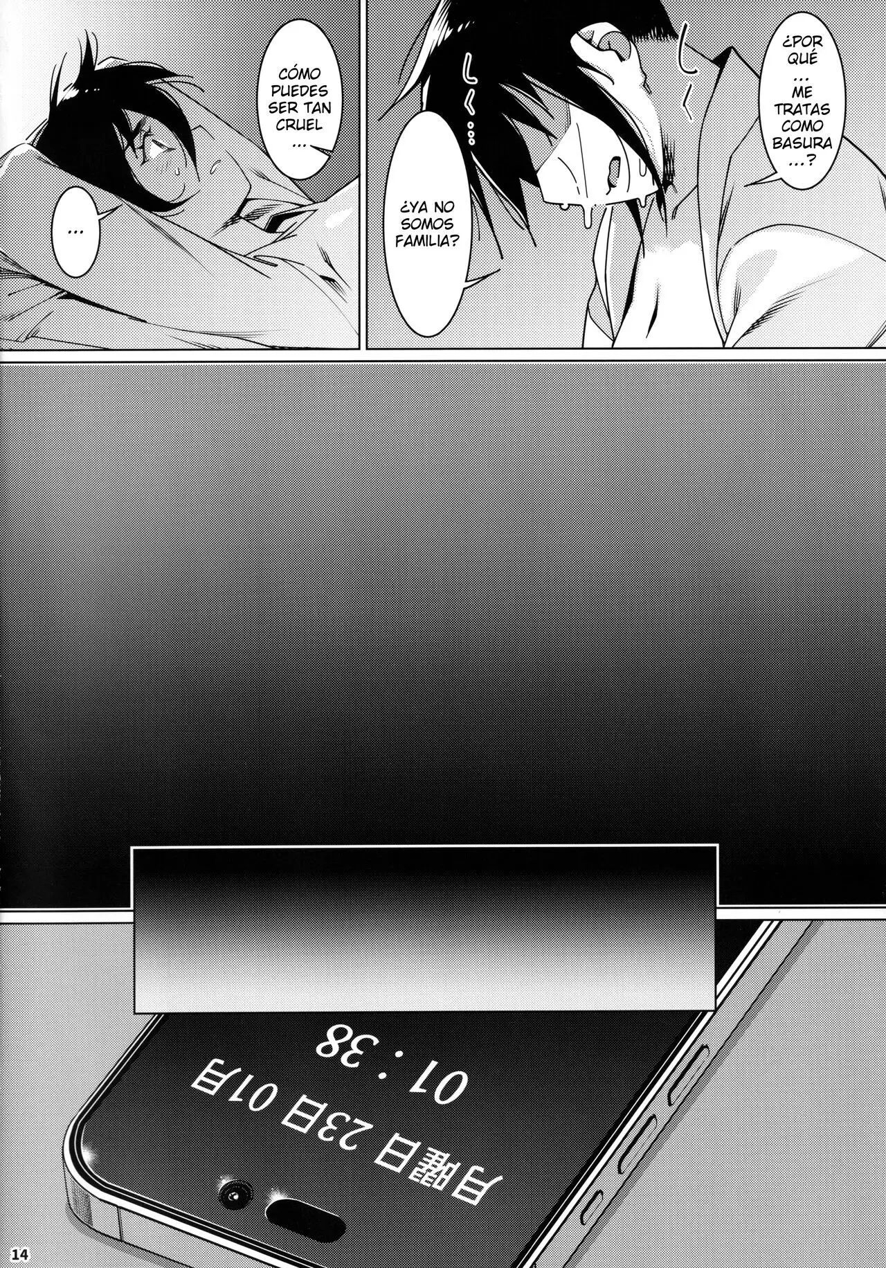 Página 13