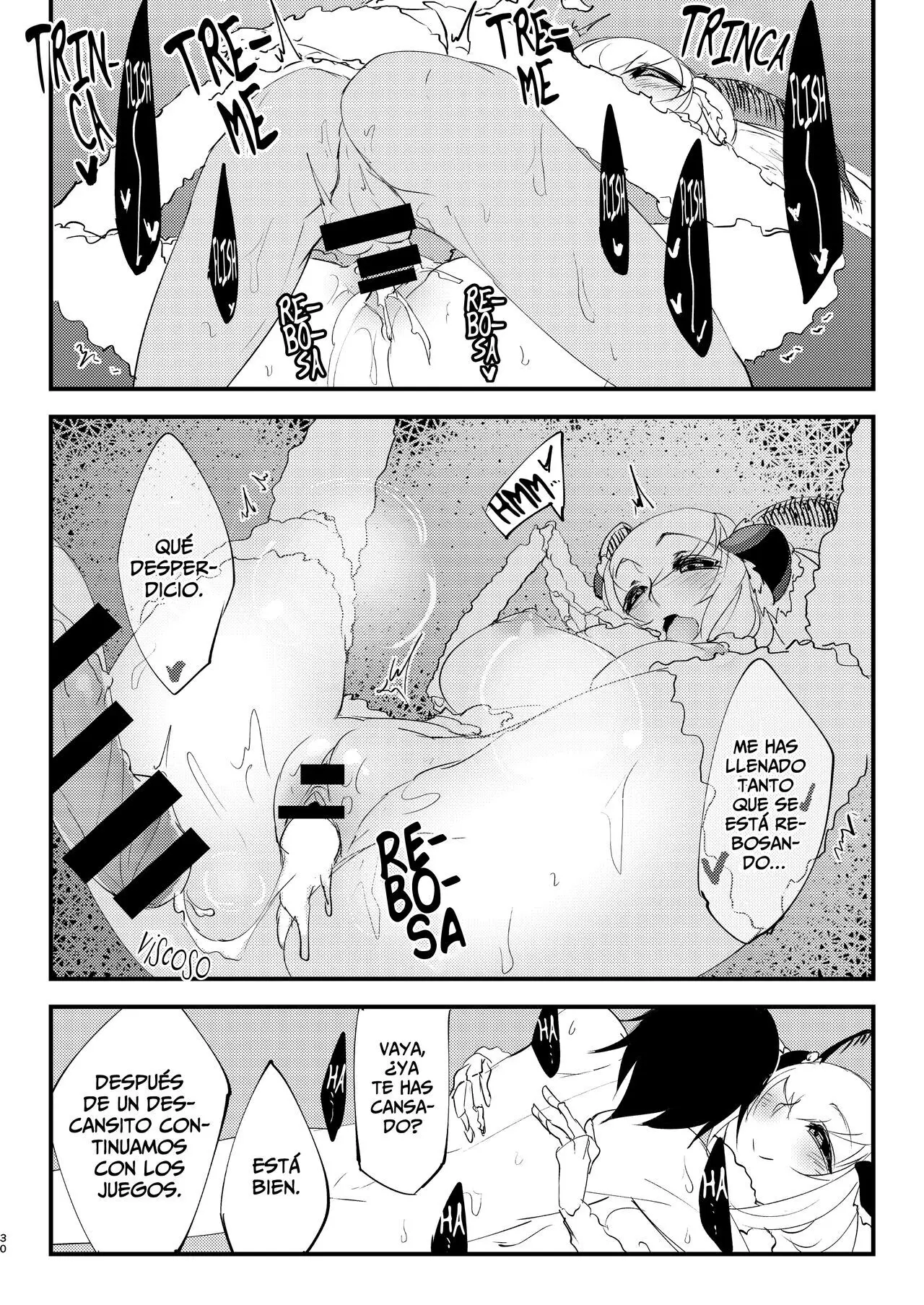 Página 31