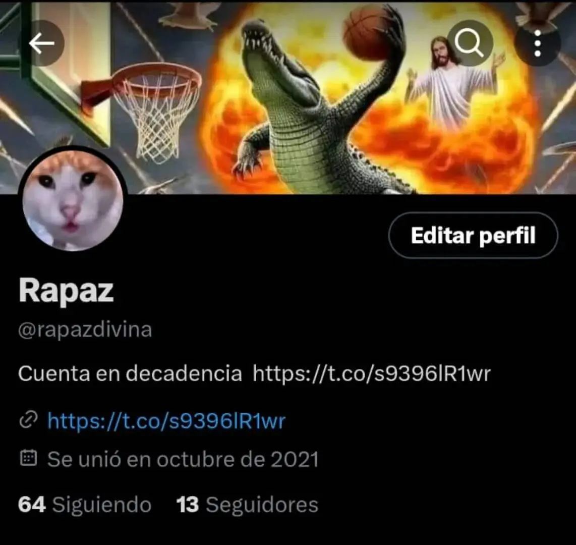 Página 31