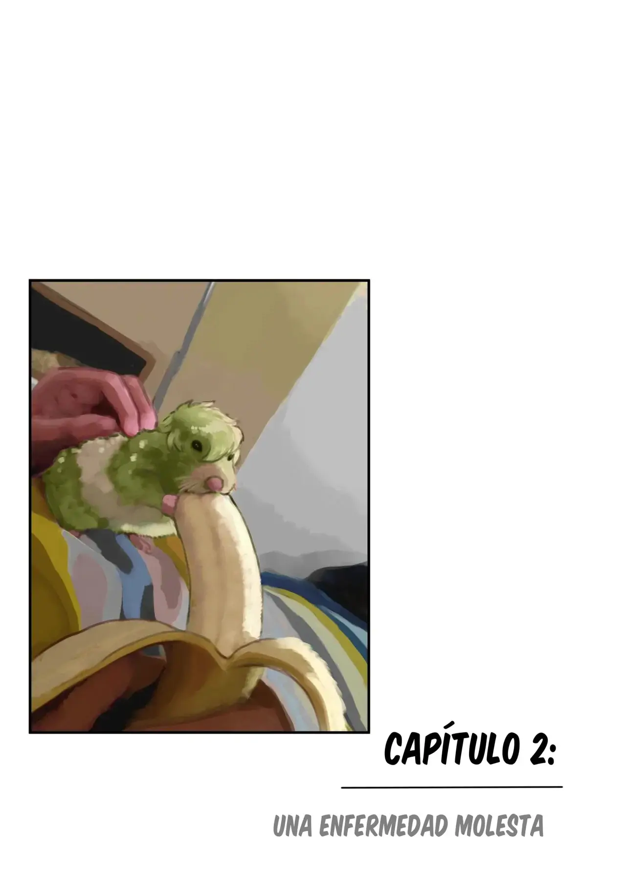 Página 16