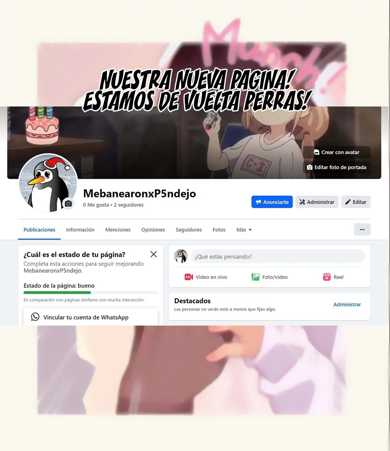 Página 47