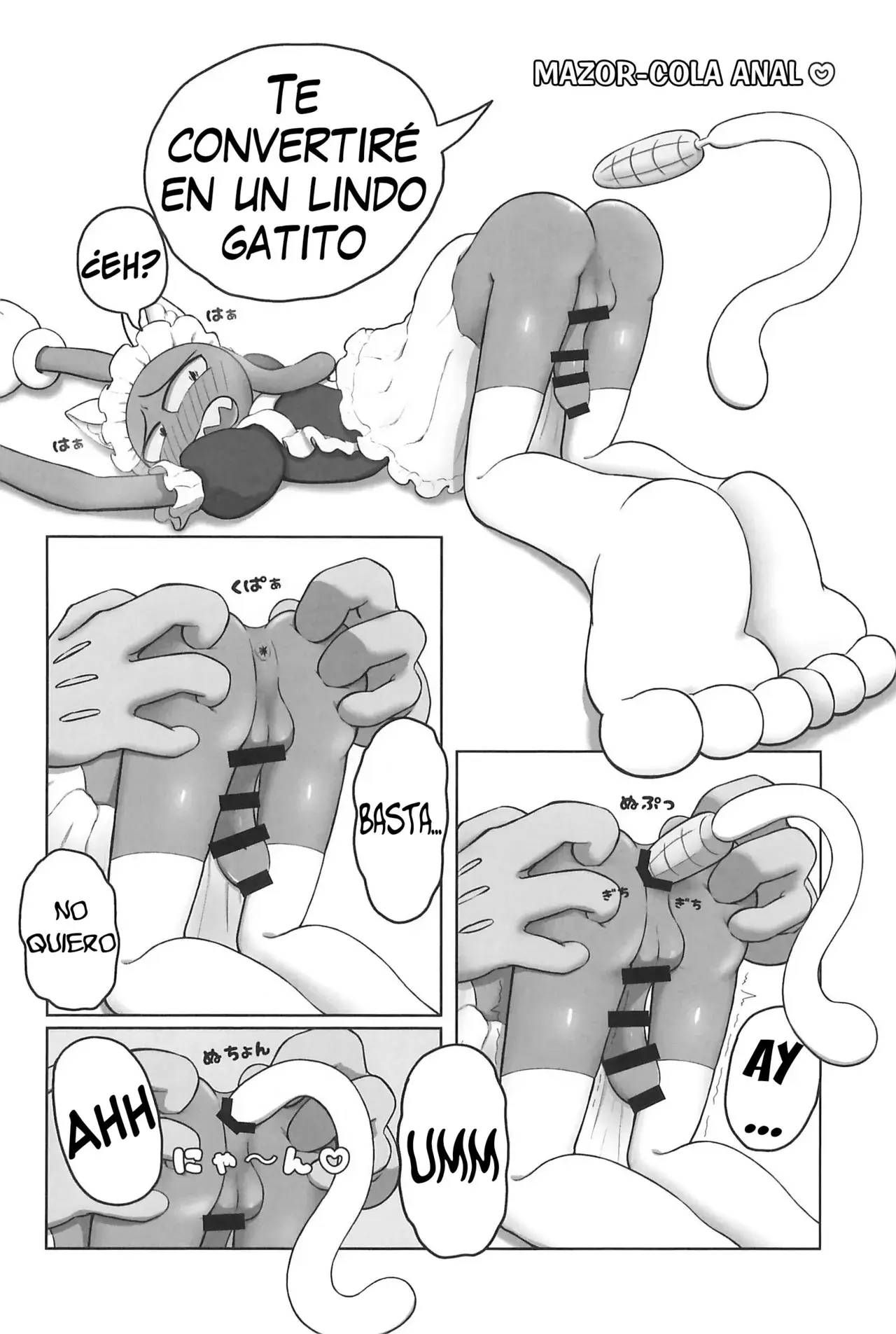 Página 14
