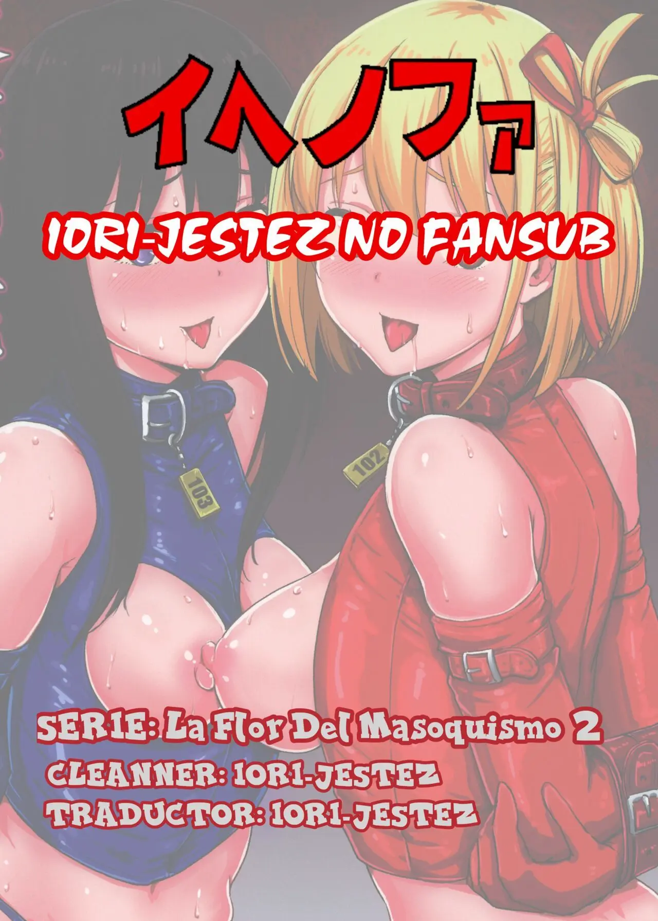 Página 31