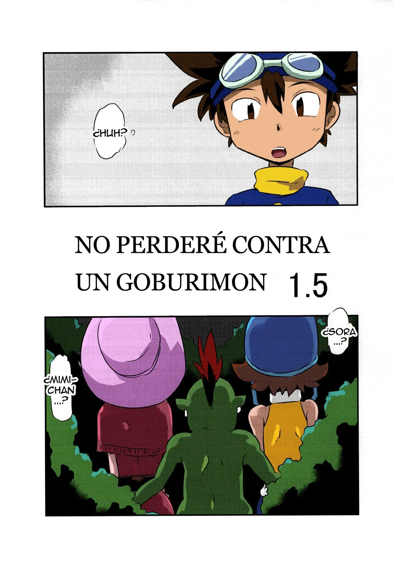 Página 19