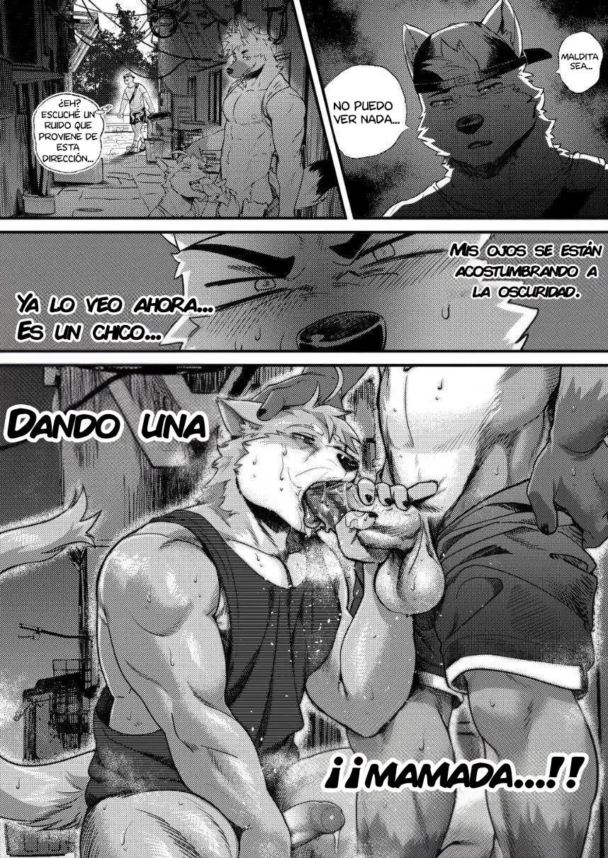 Página 15