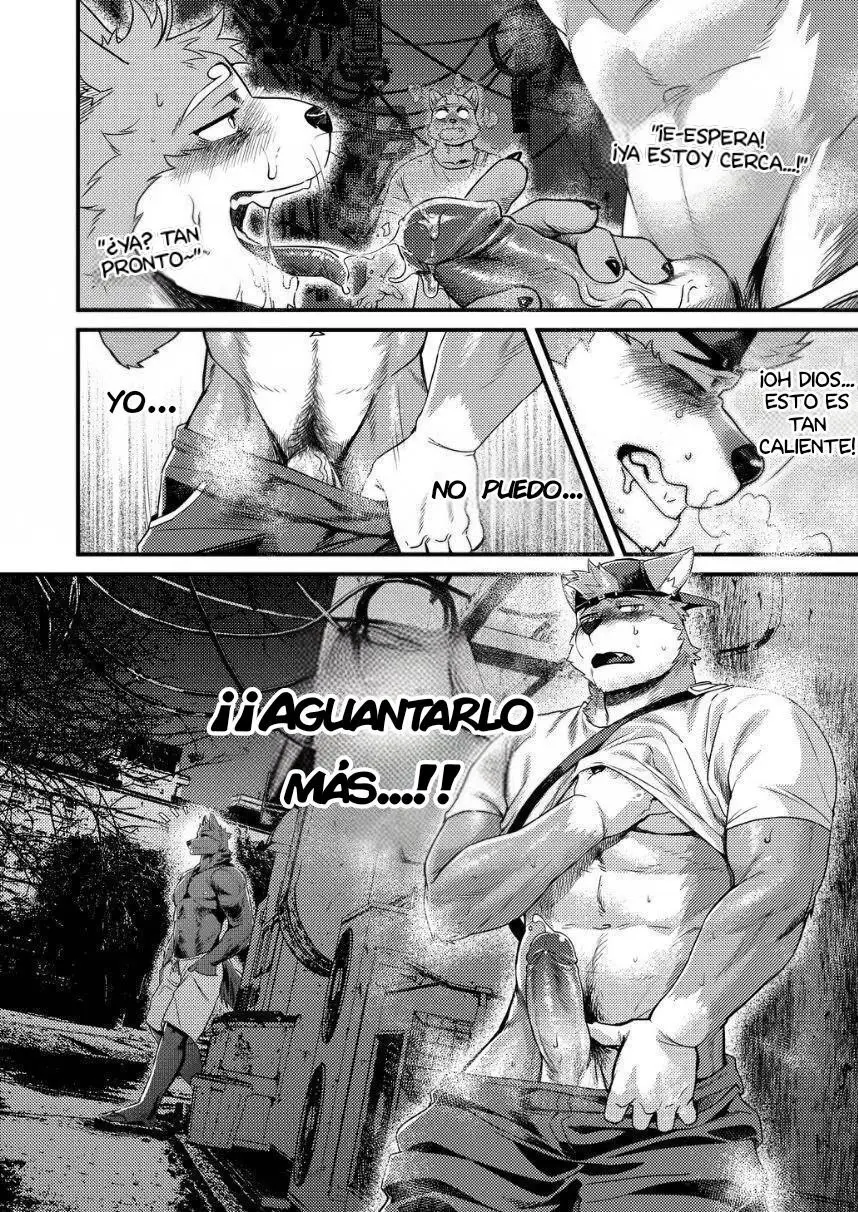 Página 17