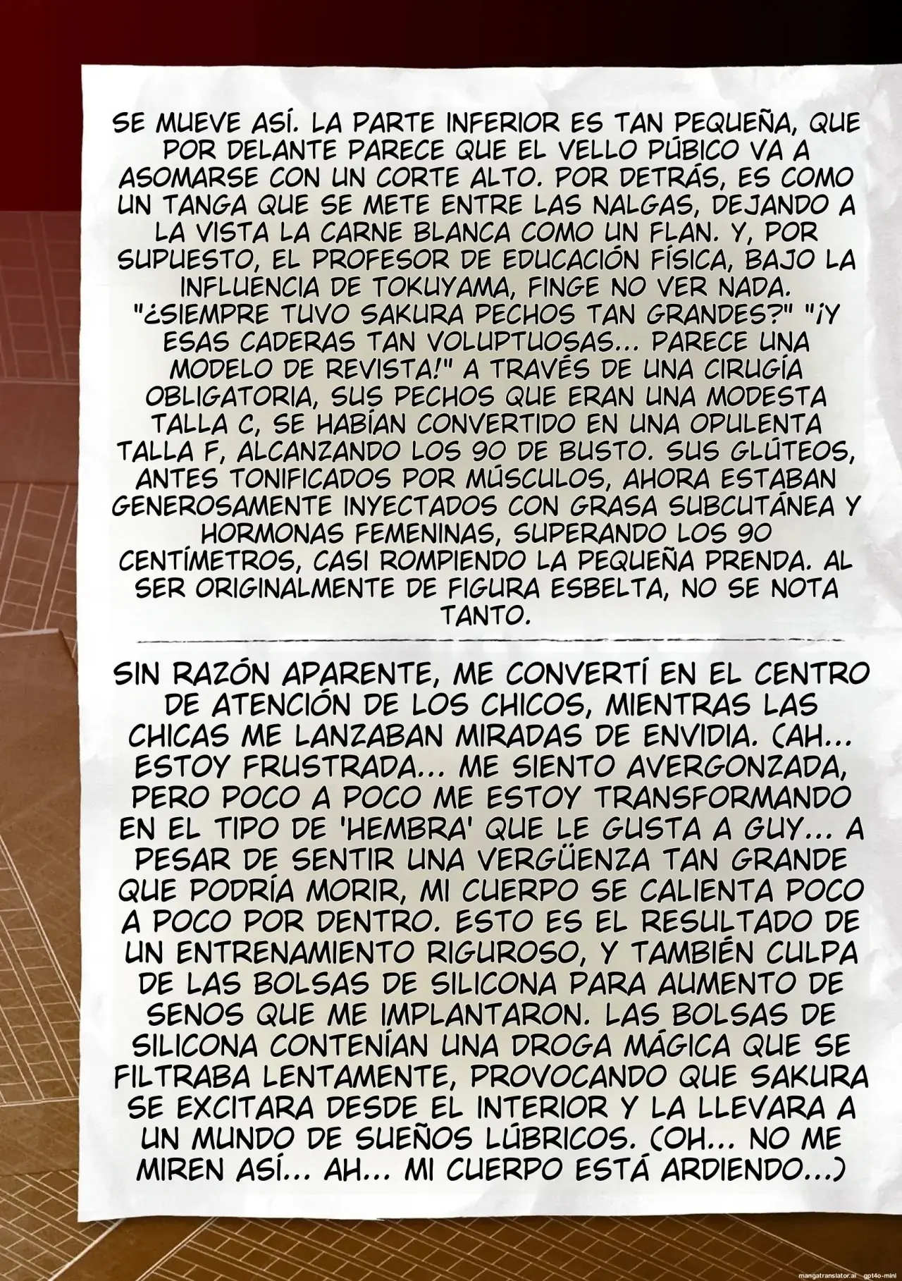 Página 243