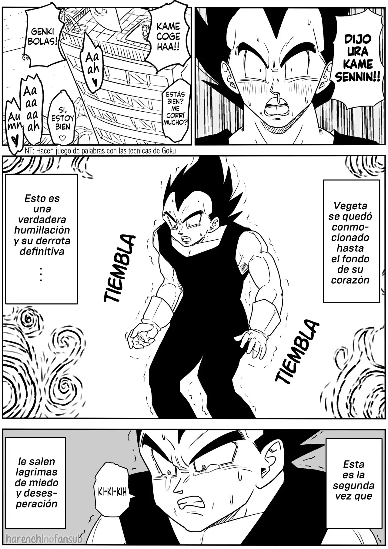 Página 11