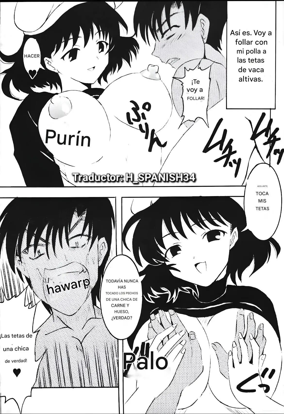 Página 13