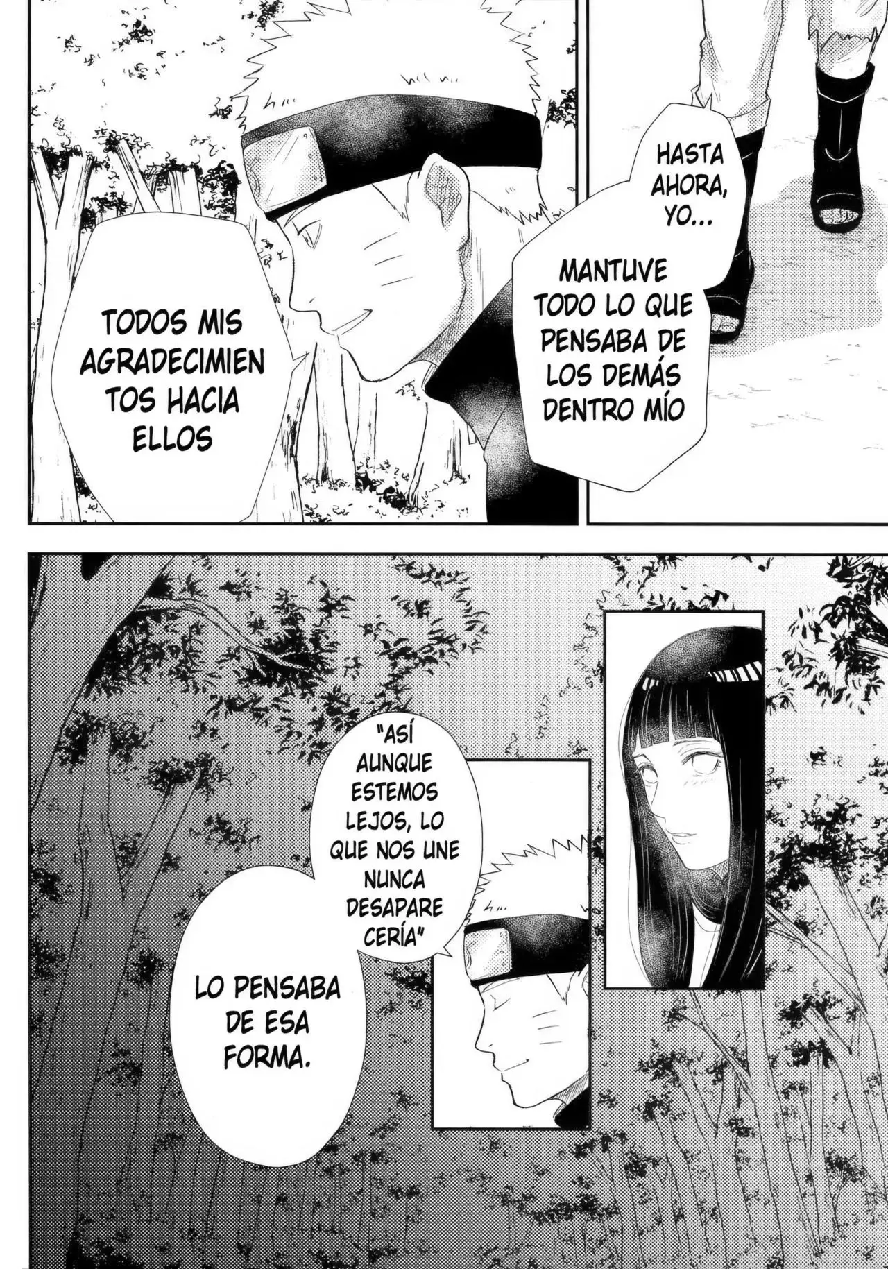 Página 51