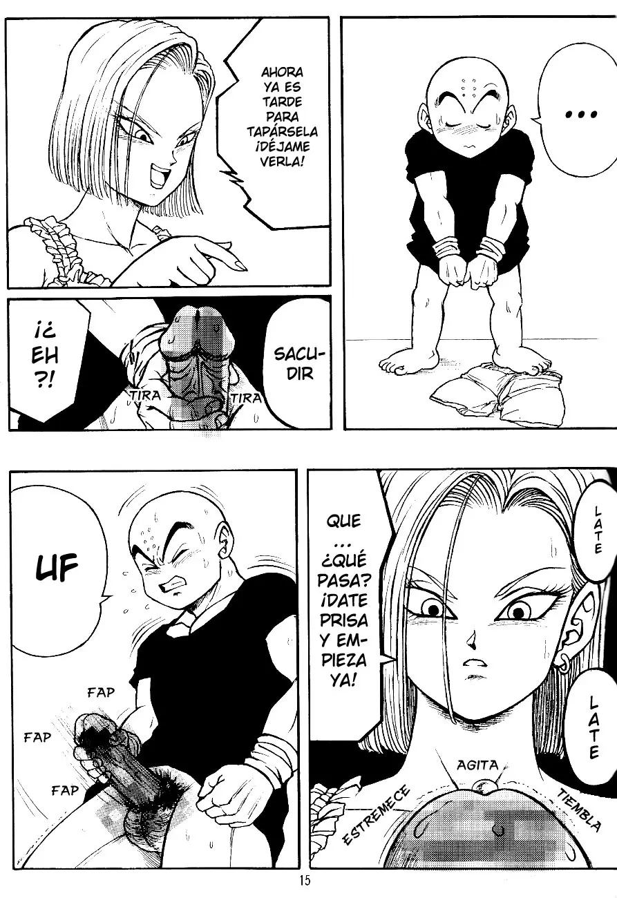 Página 14