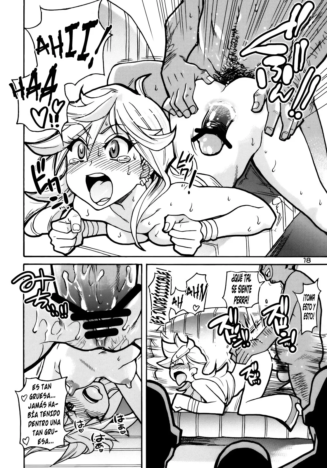 Página 17