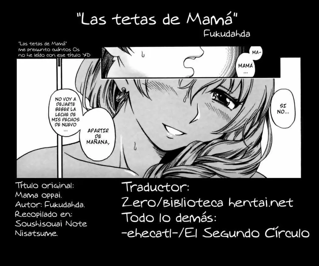 Página 17