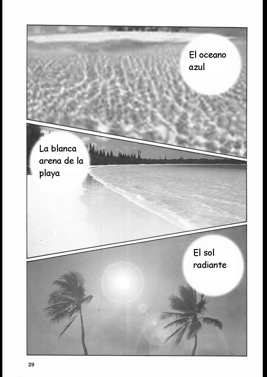 Página 29