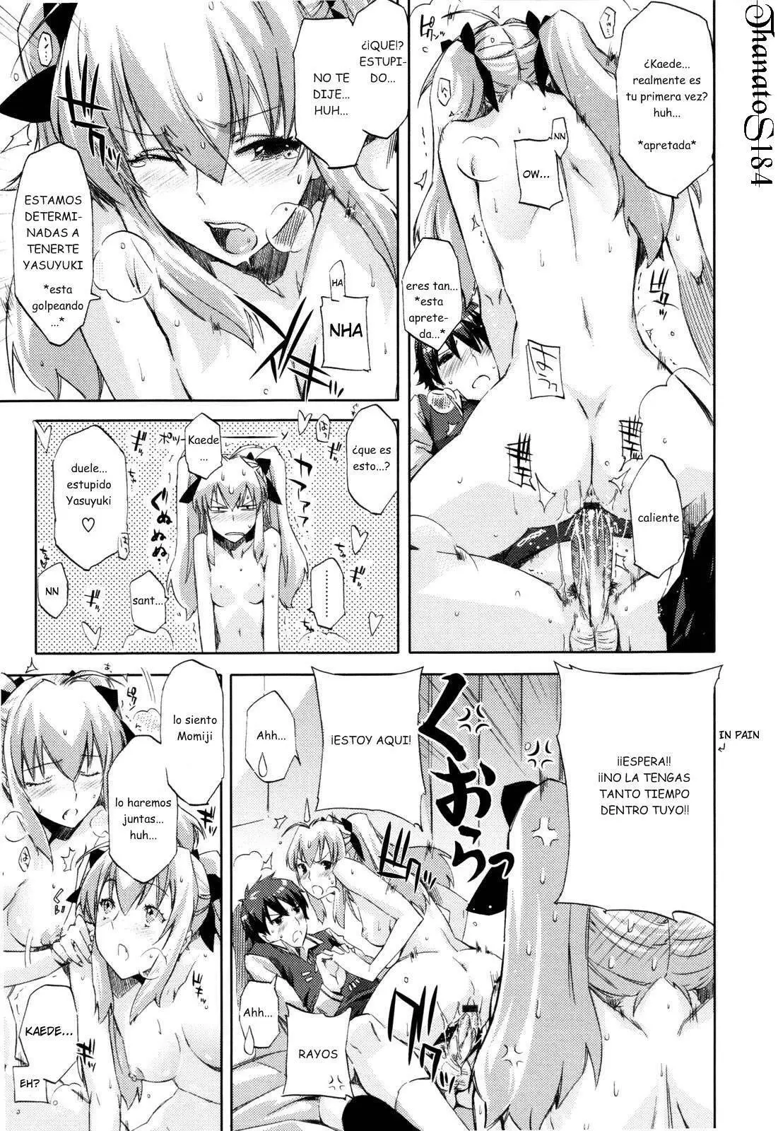 Página 19