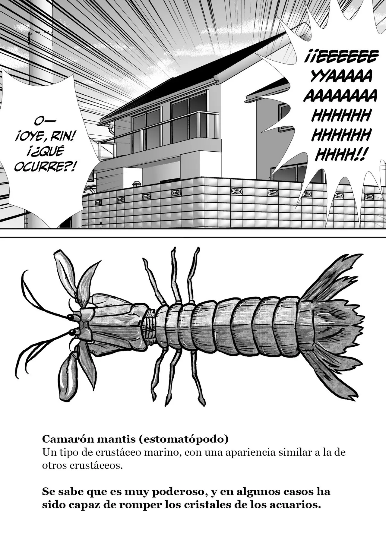 Página 17