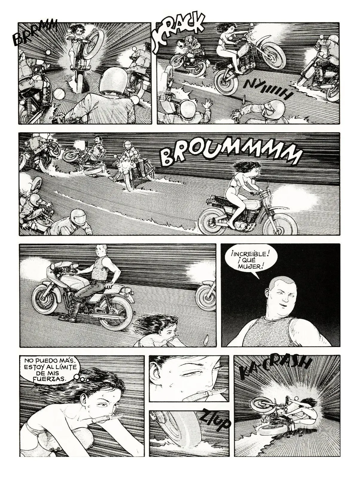 Página 29