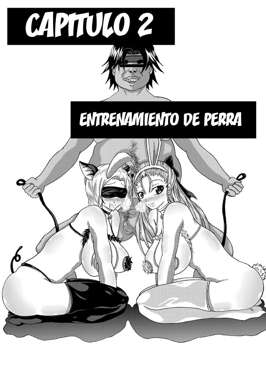 Página 13