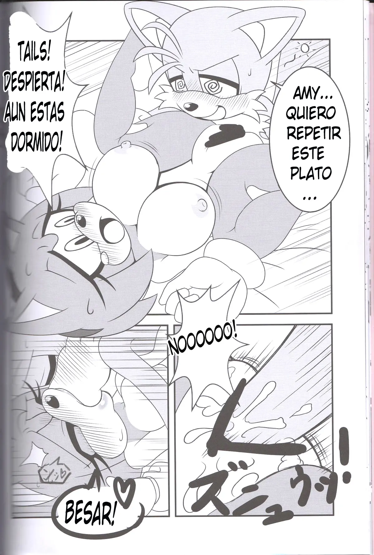 Página 17