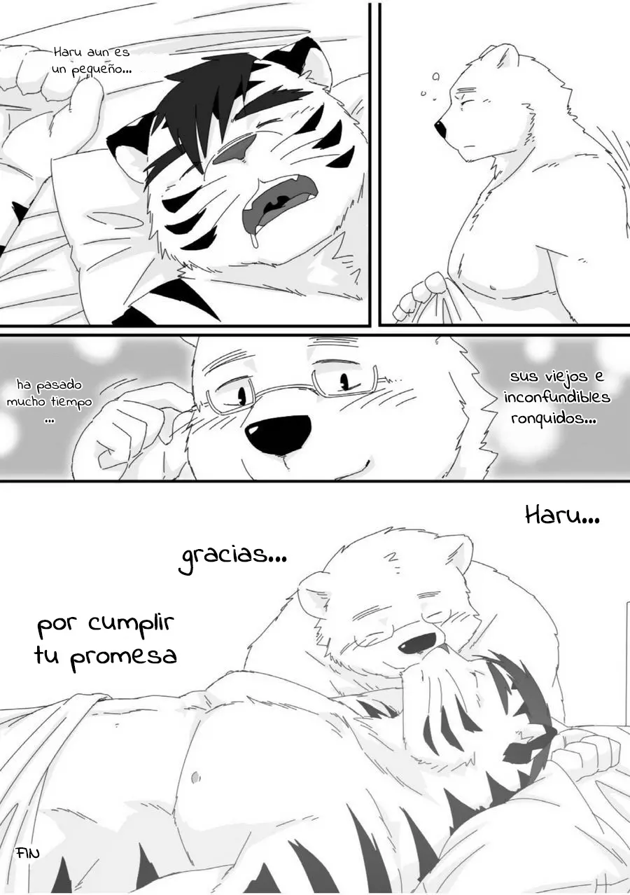 Página 26