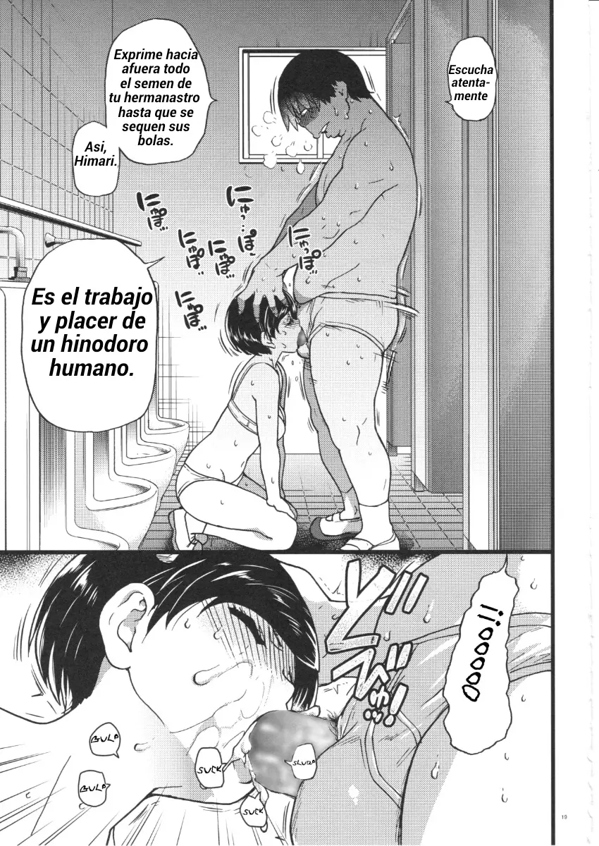 Página 17