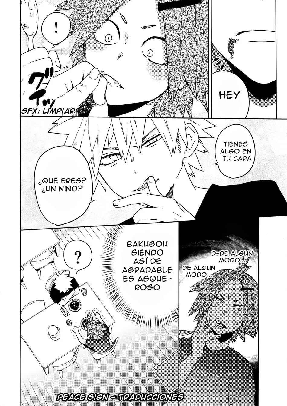 Página 13