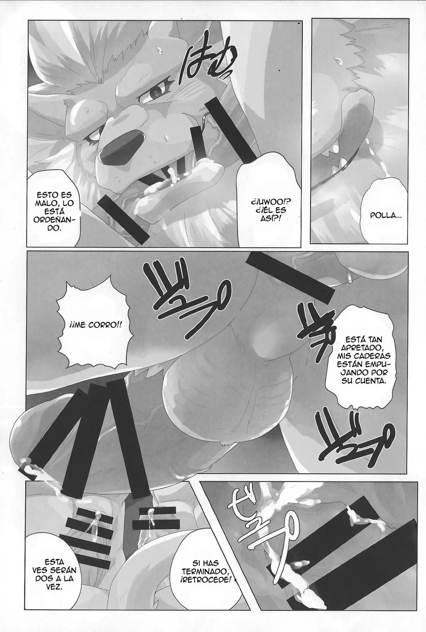 Página 17