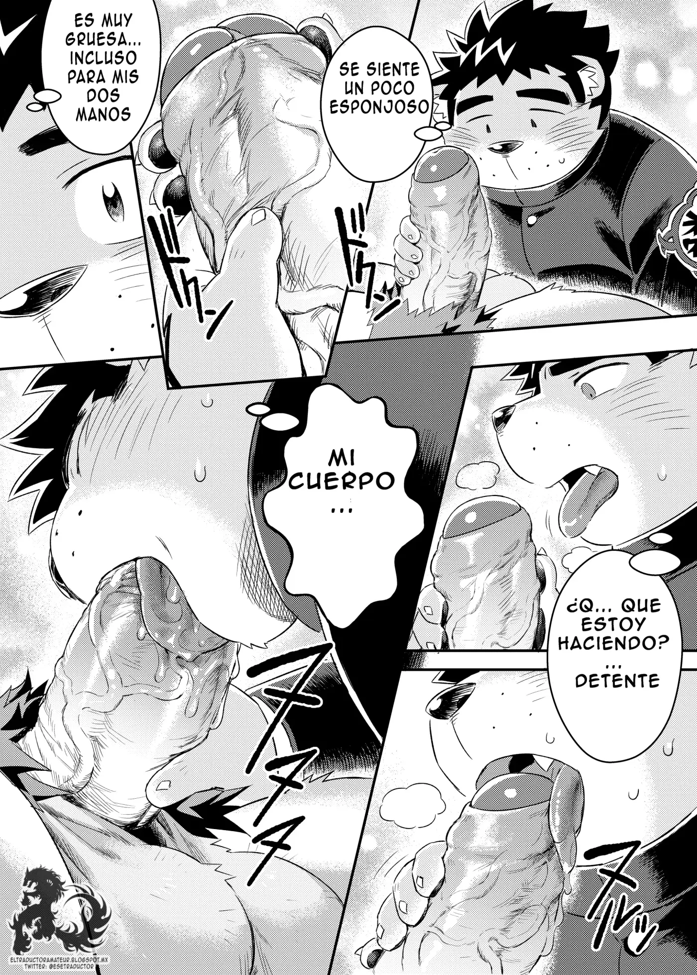 Página 12