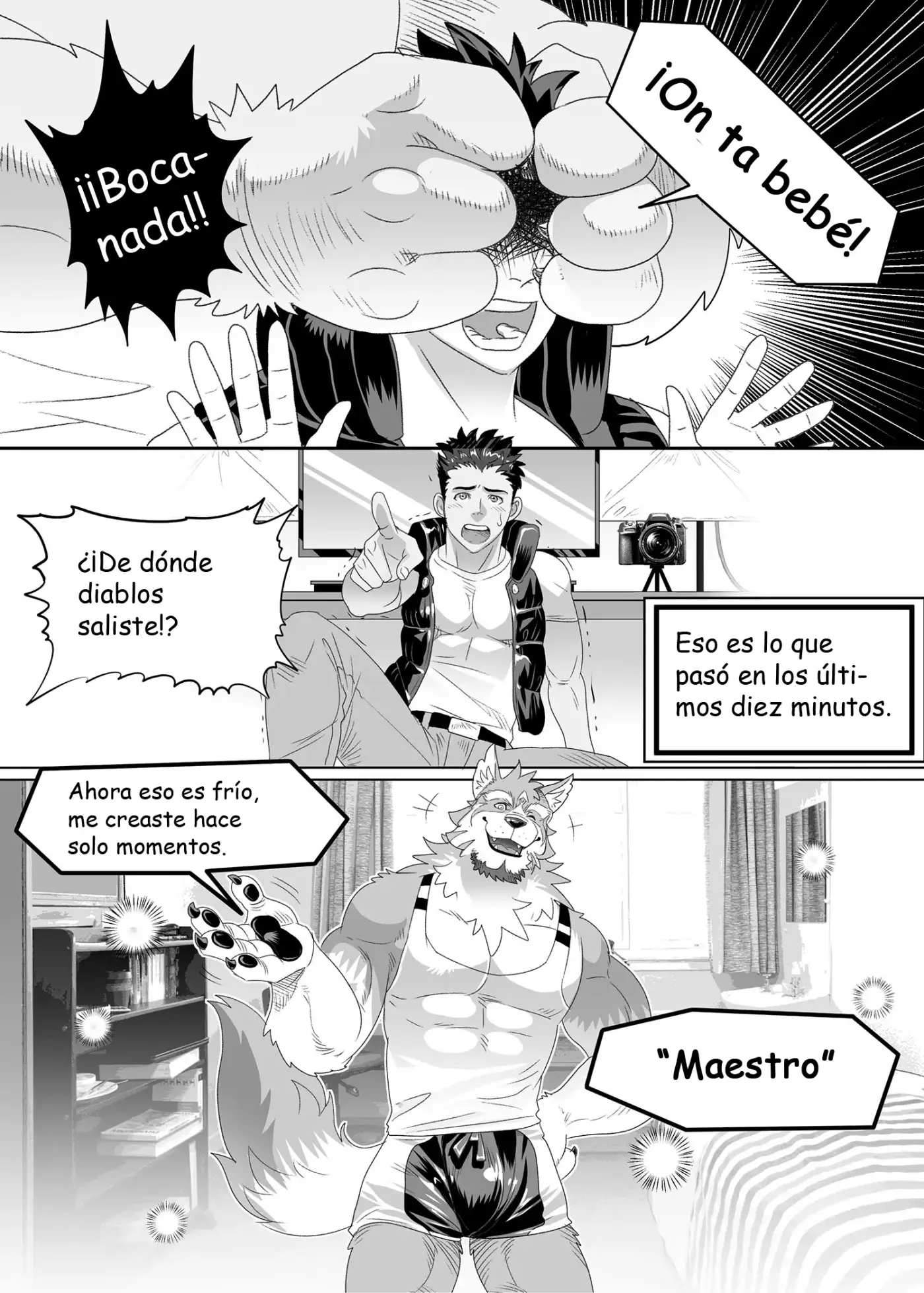 Página 11