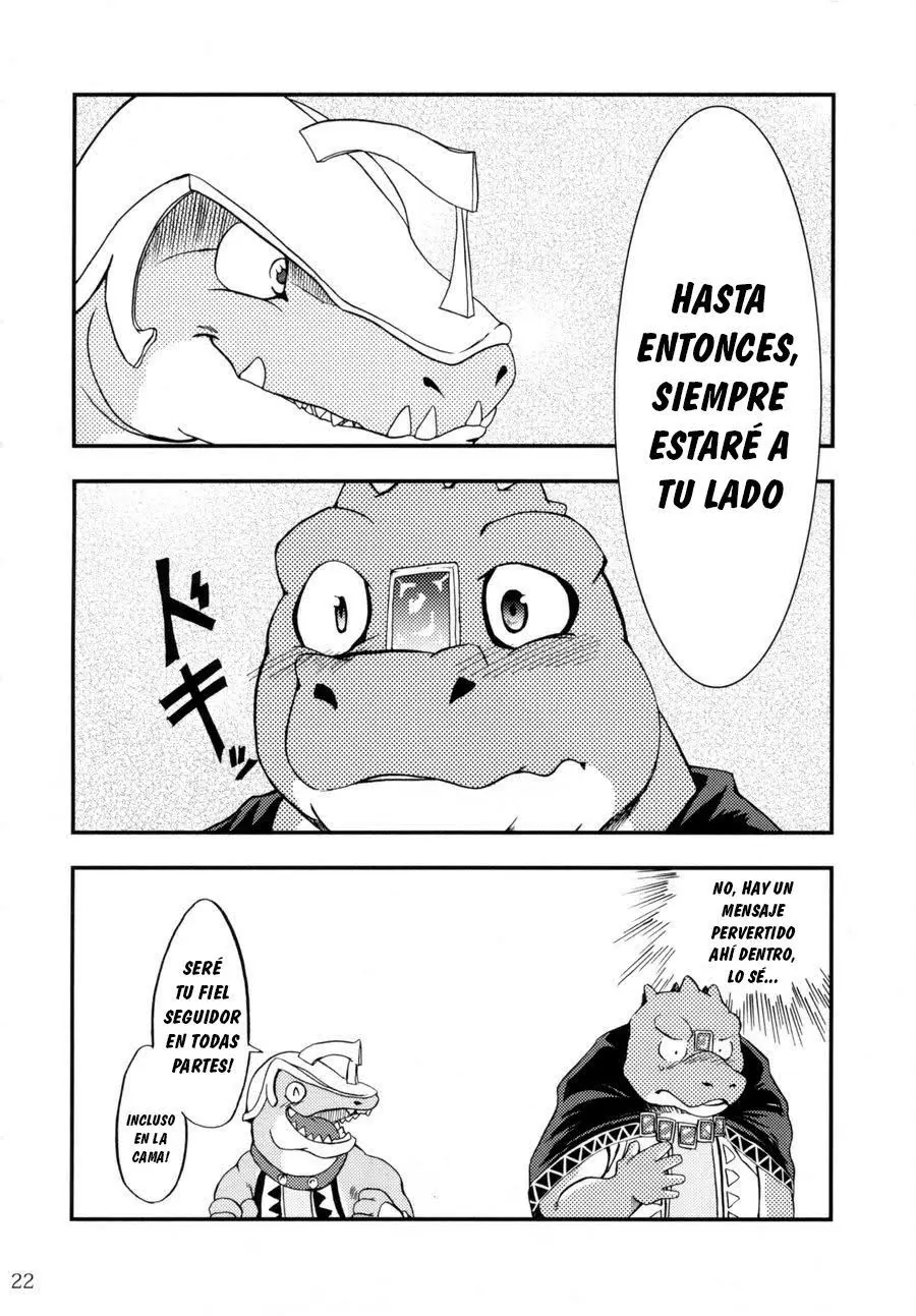 Página 21