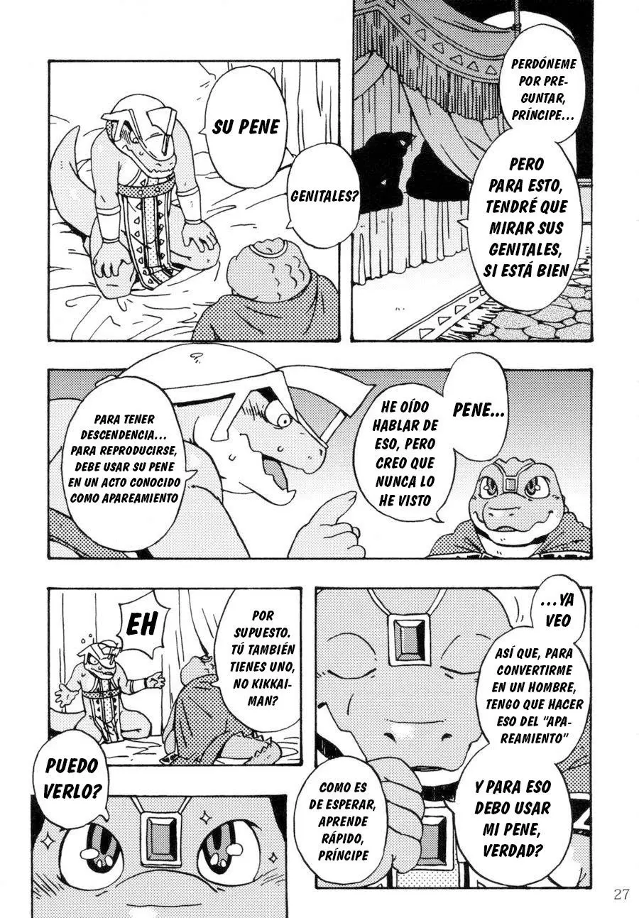 Página 26