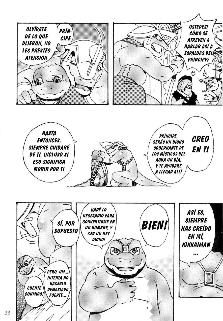 Página 35