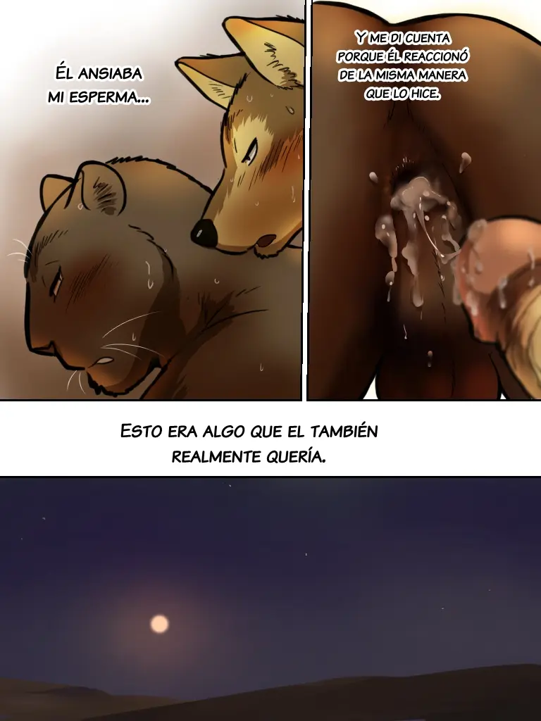 Página 47