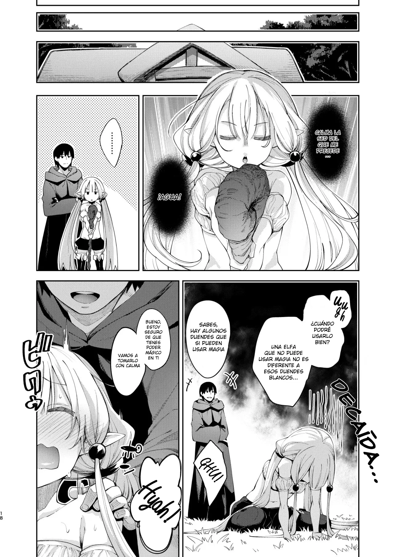Página 17