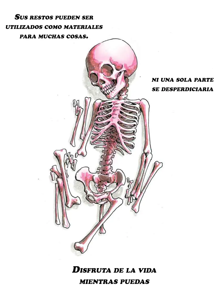 Página 27