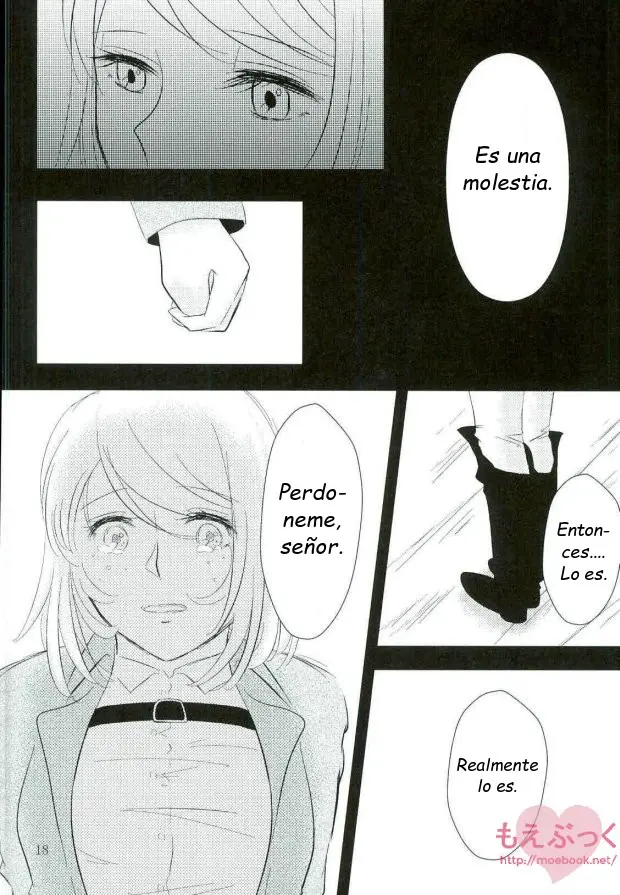 Página 19