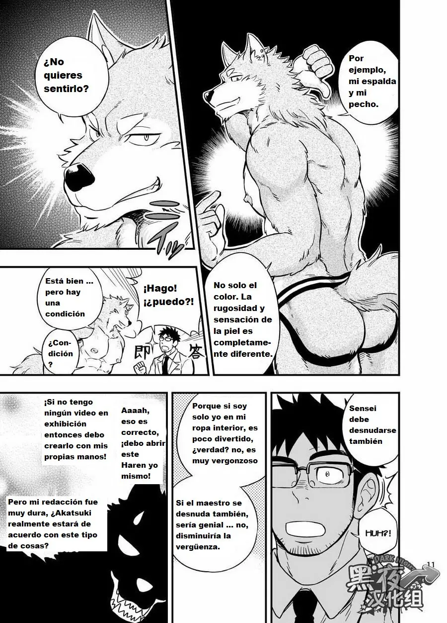 Página 12