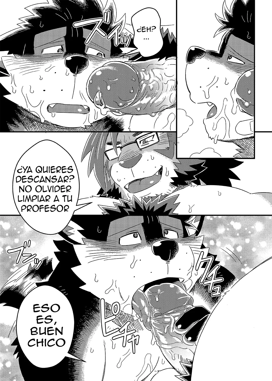 Página 19