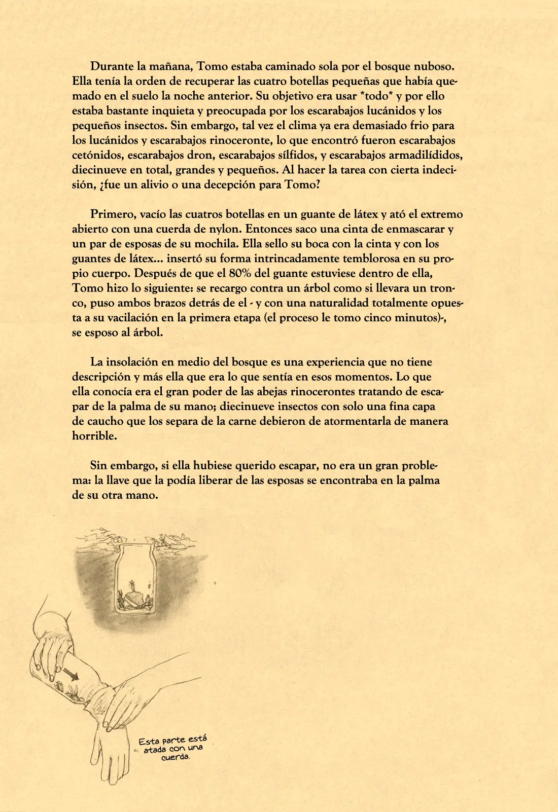 Página 54