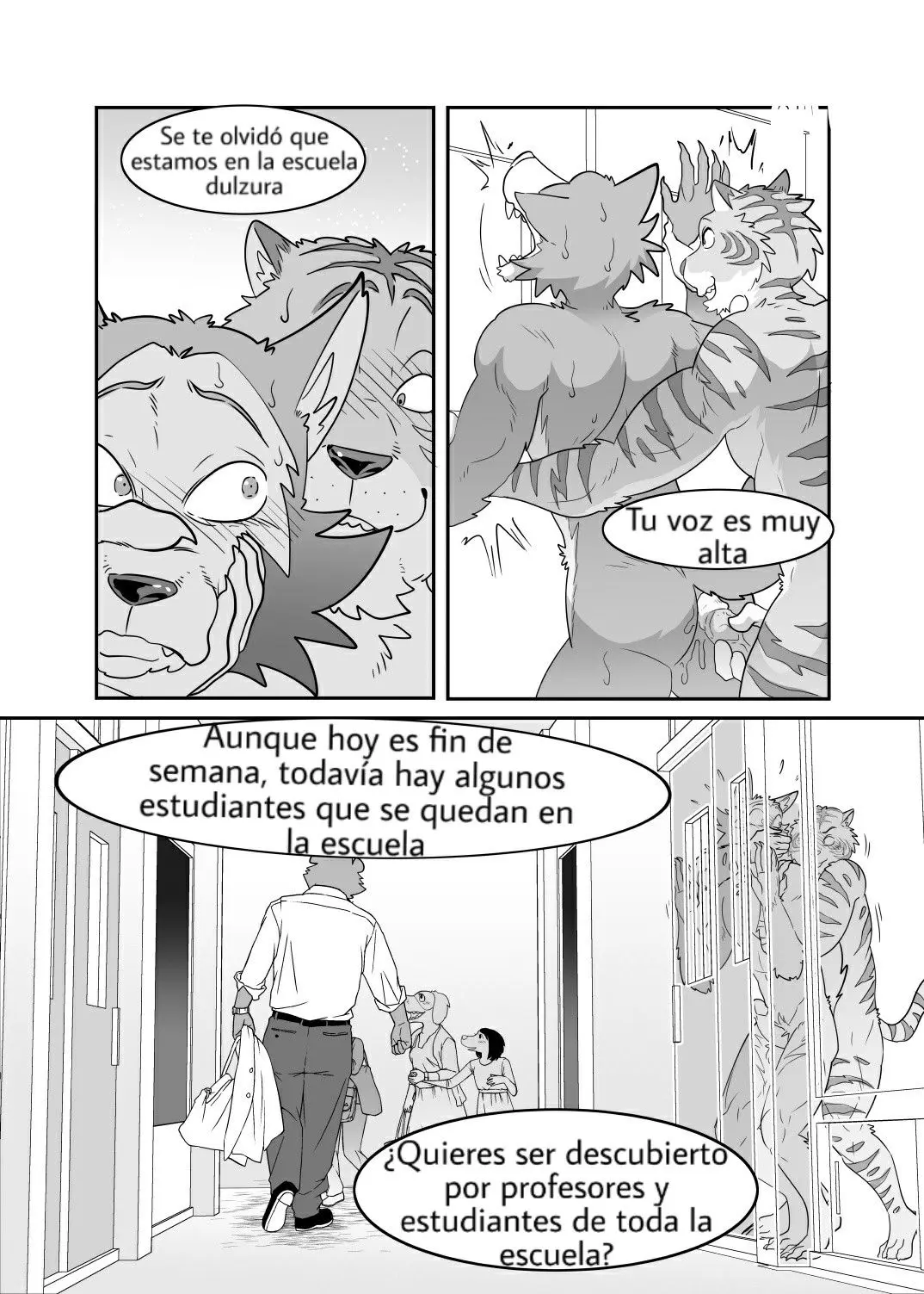Página 19