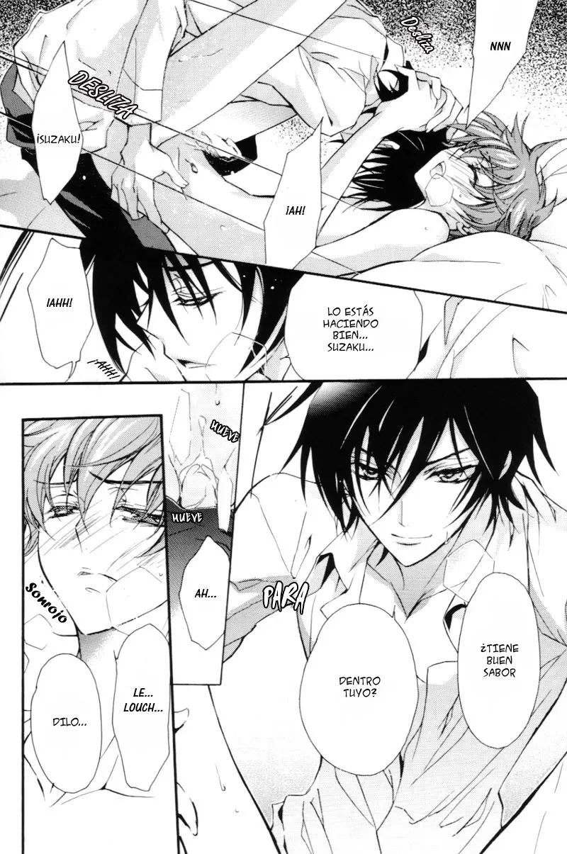 Página 15