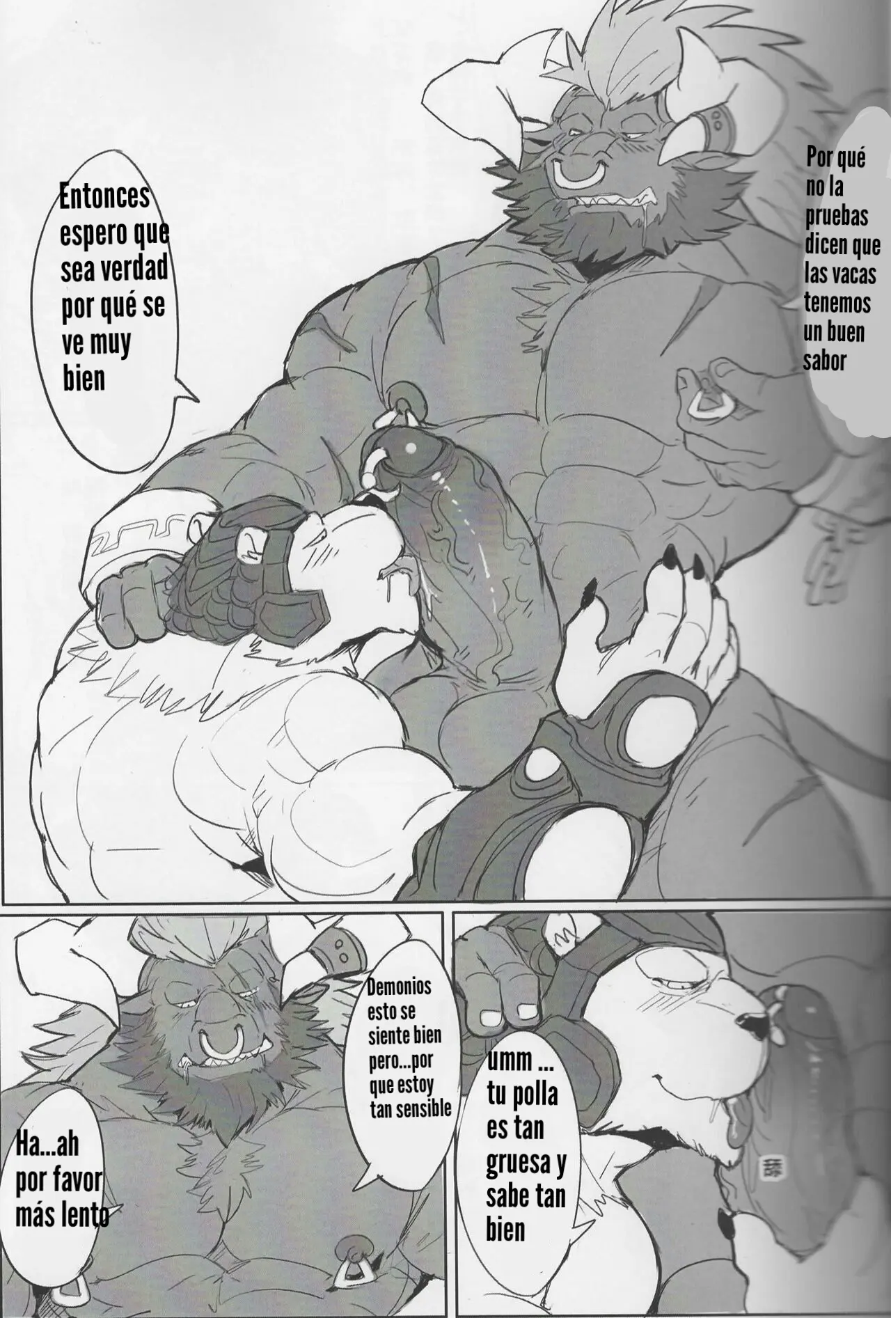 Página 12
